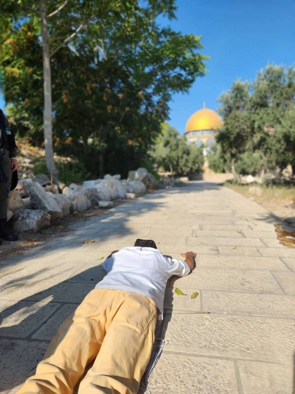 WhatsApp Image 2024-08-26 at 10.59.34_0dd9e21e.jpg